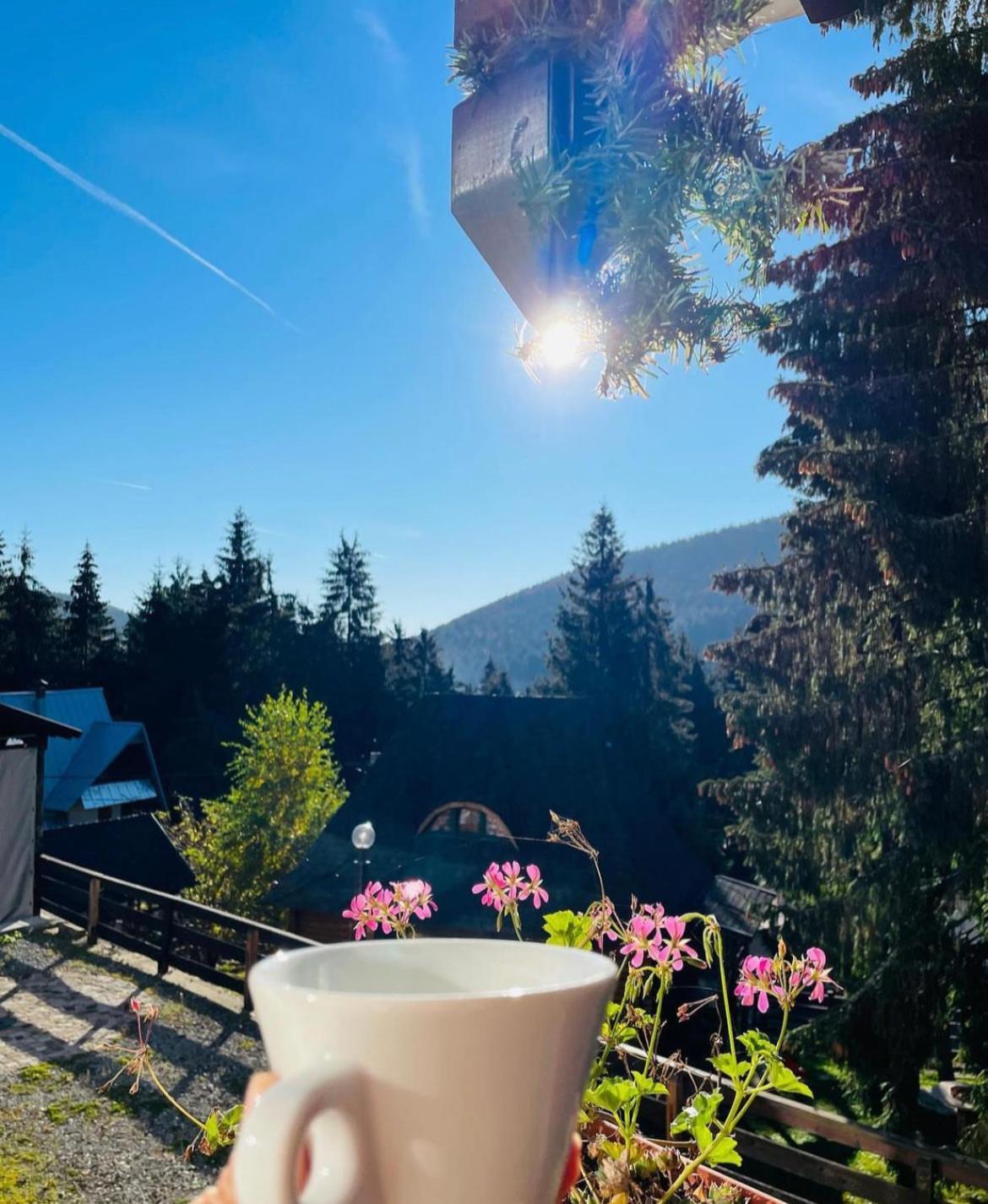 Pensiunea Panoramic Vartop Eksteriør bilde